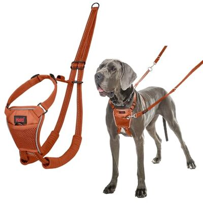 Halti Harnais anti-traction Pour que votre chien arrête de tirer sur sa laisse, Réfléchissant, sangle de poitrail et des pattes avant rembourrée, Harnais pour grand chiens (Taille L, Orange Brûlé) Halti Harnais anti-traction Pour que votre chien arrête de tirer sur sa laisse, Réfléchissant, sangle de poitrail et des pattes avant rembourrée, Harnais pour grand chiens (Taille L, Orange Brûlé)