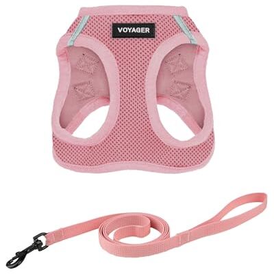Best Pet Supplies Voyager Step-in Air Harnais en maille résistante aux intempéries, réfléchissant, anti-traction et sécurisé pour chiens et chats, taille XXS, rose Best Pet Supplies Voyager Step-in Air Harnais en maille résistante aux intempéries, réfléchissant, anti-traction et sécurisé pour chiens et chats, taille XXS, rose