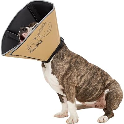 All Four Paws The Original Comfy Cone Collier de récupération doux avec baleines amovibles, taille M, brun clair All Four Paws The Original Comfy Cone Collier de récupération doux avec baleines amovibles, taille M, brun clair