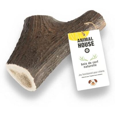 Animal House Bois de Cerf Entier pour Chiens À mâcher 100% Naturel Renforce l'hygiène bucco-Dentaire Résistant et Durable Disponible dans Toutes Les Tailles (XXL) Animal House Bois de Cerf Entier pour Chiens À mâcher 100% Naturel Renforce l'hygiène bucco-Dentaire Résistant et Durable Disponible dans Toutes Les Tailles (XXL)