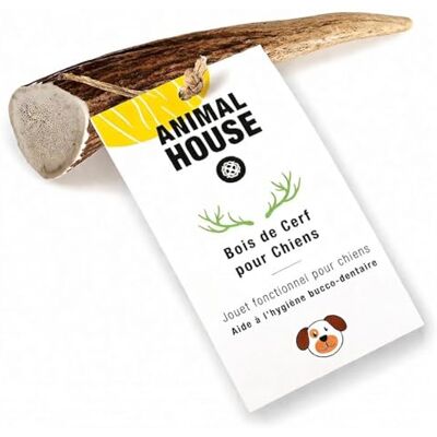 Animal House Bois de Cerf Entier pour Chiens À mâcher 100% Naturel Renforce l'hygiène bucco-Dentaire Résistant et Durable Disponible dans Toutes Les Tailles (XS) Animal House Bois de Cerf Entier pour Chiens À mâcher 100% Naturel Renforce l'hygiène bucco-Dentaire Résistant et Durable Disponible dans Toutes Les Tailles (XS)