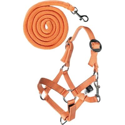 HKM Hobby Horsing Basic Tête et branche Orange Taille unique HKM Hobby Horsing Basic Tête et branche Orange Taille unique