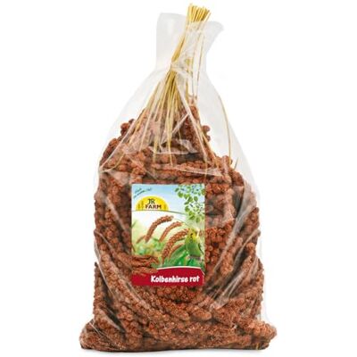JR Farm Birds Millet à piston rouge 1 kg JR Farm Birds Millet à piston rouge 1 kg