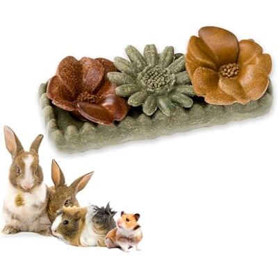 Ferplast Snack naturel pour rongeurs, hamsters, cochons d'Inde et lapins, Favorise l'hygiène dentaire, stimule le jeu et apporte goût et bien-être tous les jours, en forme de fleur Ferplast Snack naturel pour rongeurs, hamsters, cochons d'Inde et lapins, Favorise l'hygiène dentaire, stimule le jeu et apporte goût et bien-être tous les jours, en forme de fleur
