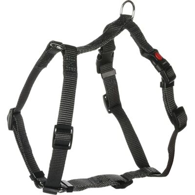 FLAMINGO Harnais pour Chien H Ziggi Gris foncé S 35 à 50cm 15mm Réglable en continu avec Anneau pour Attacher Une Laisse avec Boucle à clic et Bouton de sécurité FLAMINGO Harnais pour Chien H Ziggi Gris foncé S 35 à 50cm 15mm Réglable en continu avec Anneau pour Attacher Une Laisse avec Boucle à clic et Bouton de sécurité