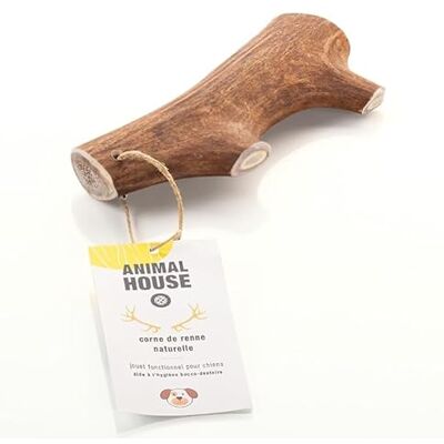 Animal House Bois de Renne pour Chien À Mâcher 100% Naturel Renforce l'Hygiène Buccale Résistant et Longue Durée Disponible dans Toutes Les Tailles Cruelty Free (XL) Animal House Bois de Renne pour Chien À Mâcher 100% Naturel Renforce l'Hygiène Buccale Résistant et Longue Durée Disponible dans Toutes Les Tailles Cruelty Free (XL)