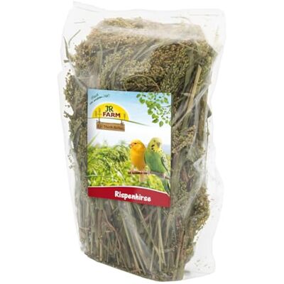 JR Farm Birds Millet paniculé 400 g JR Farm Birds Millet paniculé 400 g