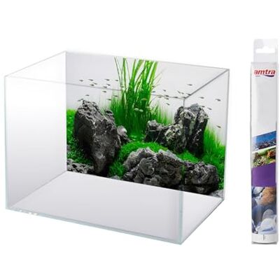 Amtra WAVE Amazonia Blister Fond Double pour Aquariophilie 30 x 60 cm Amtra WAVE Amazonia Blister Fond Double pour Aquariophilie 30 x 60 cm