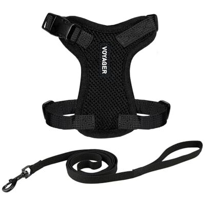Best Pet Supplies Voyager Step-in Lock Harnais pour chat et laisse réfléchissante avec poignée en néoprène – Prend en charge les chats de petite, moyenne et grande taille, noir, taille S – 1,5 m Best Pet Supplies Voyager Step-in Lock Harnais pour chat et laisse réfléchissante avec poignée en néoprène – Prend en charge les chats de petite, moyenne et grande taille, noir, taille S – 1,5 m