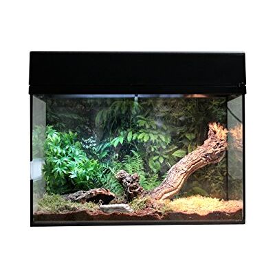Lucky Reptile Kit de démarrage araignée & Scorpion 50 cm Kit Complet araignées et Scorpions Kit Terrarium de Haute qualité avec Accessoires pour débutants – Kit de démarrage en Noir Lucky Reptile Kit de démarrage araignée & Scorpion 50 cm Kit Complet araignées et Scorpions Kit Terrarium de Haute qualité avec Accessoires pour débutants – Kit de démarrage en Noir