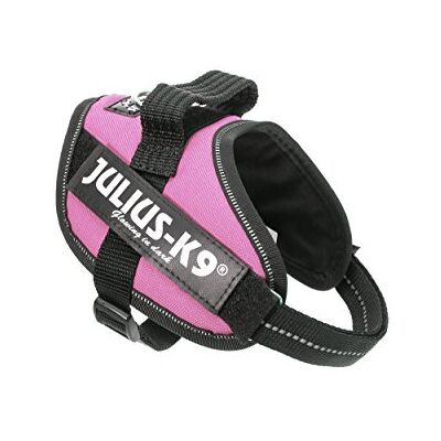 Julius-K9 Harnais IDC Power, Taille: Mini, Rose Julius-K9 Harnais IDC Power, Taille: Mini, Rose