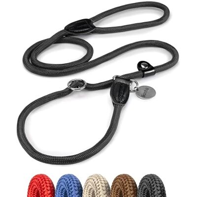 lionto Laisse retriever robuste et résistante aux intempéries pour chiens de toutes tailles, laisse et collier en un, 120 cm, douce pour le pelage avec stop intégré, vegan, noir lionto Laisse retriever robuste et résistante aux intempéries pour chiens de toutes tailles, laisse et collier en un, 120 cm, douce pour le pelage avec stop intégré, vegan, noir