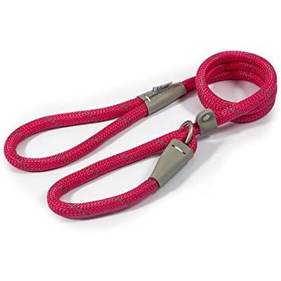 Ancol Viva Laisse réfléchissante en cuir pour chien Légère et résistante aux intempéries Accessoire de dressage pour chiot Rose 1,2 m x 12 mm Ancol Viva Laisse réfléchissante en cuir pour chien Légère et résistante aux intempéries Accessoire de dressage pour chiot Rose 1,2 m x 12 mm