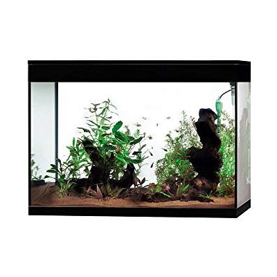 Askoll Aa350074 Aquarium Pure High Cube LED XXL Noir Askoll Aa350074 Aquarium Pure High Cube LED XXL Noir