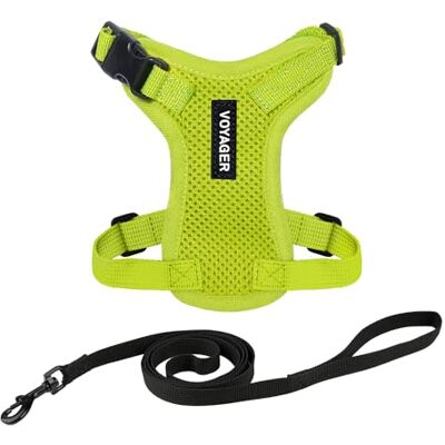 Best Pet Supplies Voyager Step-in Lock Harnais et laisse réfléchissante pour chat avec poignée en néoprène – Convient aux chats de petite, moyenne et grande taille, vert citron, taille XS – 1,5 m Best Pet Supplies Voyager Step-in Lock Harnais et laisse réfléchissante pour chat avec poignée en néoprène – Convient aux chats de petite, moyenne et grande taille, vert citron, taille XS – 1,5 m