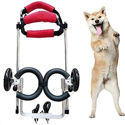 NEDOES Fauteuil roulant pour chien, rééducation des pattes postérieures, marche assistée par chien, fauteuil roulant réglable à deux roues pour chats adultes NEDOES Fauteuil roulant pour chien, rééducation des pattes postérieures, marche assistée par chien, fauteuil roulant réglable à deux roues pour chats adultes
