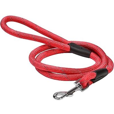 Bobby Walk Laisse pour chien tubulaire, laisse pour chien d'entraînement avec mousqueton, nylon résistant, rouge, 124 x 1,2 cm Bobby Walk Laisse pour chien tubulaire, laisse pour chien d'entraînement avec mousqueton, nylon résistant, rouge, 124 x 1,2 cm