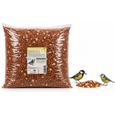 FLAMINGO Cacahuètes décortiquées Nourriture Fraîche de Qualité Supérieure pour Oiseaux Sauvages 5 KG FLAMINGO Cacahuètes décortiquées Nourriture Fraîche de Qualité Supérieure pour Oiseaux Sauvages 5 KG
