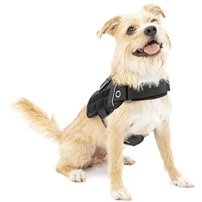 Harnais pour chien Kurgo RSG Townie - Noir Harnais pour chien Kurgo RSG Townie - Noir