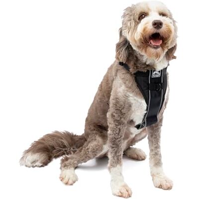 Harnais pour Chien Kurgo Tru-Fit Smart - Réglable, Reflector, Pour Voiture & Promenade Harnais pour Chien Kurgo Tru-Fit Smart - Réglable, Reflector, Pour Voiture & Promenade