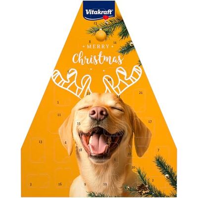 Vitakraft Calendrier de l'Avent pour chiens, 2024, sélection de délicieuses collations, pour la période de Noël, friandises pour chien, pour tous les âges (1 x 244 g) Vitakraft Calendrier de l'Avent pour chiens, 2024, sélection de délicieuses collations, pour la période de Noël, friandises pour chien, pour tous les âges (1 x 244 g)