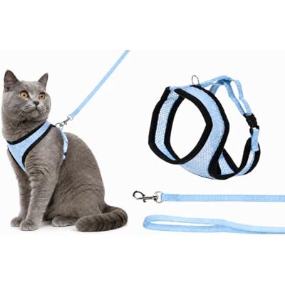 FLAMINGO Harms Harnais pour chaton avec laisse Bleu Taille A : 28 cm B : 32-41 cm C : 110 cm x 10 mm x 2 mm Harnais réglable en nylon avec maille respirante Avec laisse Idéal pour FLAMINGO Harms Harnais pour chaton avec laisse Bleu Taille A : 28 cm B : 32-41 cm C : 110 cm x 10 mm x 2 mm Harnais réglable en nylon avec maille respirante Avec laisse Idéal pour