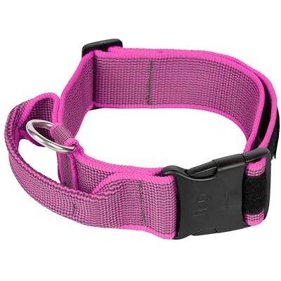 Julius-K9 JULIUS K-9, Collier Color & Gray avec poignée, fermeture de sécurité et logo, 50 mm (49-70 cm), Rose-Gris Julius-K9 JULIUS K-9, Collier Color & Gray avec poignée, fermeture de sécurité et logo, 50 mm (49-70 cm), Rose-Gris