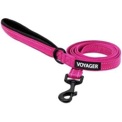 Best Pet Supplies Voyager Laisse réfléchissante pour chien avec poignée en néoprène, 1,8 m de long, convient aux chiots de petite, moyenne et grande race, mignonne et robuste pour la marche, la course et le dressage – Best Pet Supplies Voyager Laisse réfléchissante pour chien avec poignée en néoprène, 1,8 m de long, convient aux chiots de petite, moyenne et grande race, mignonne et robuste pour la marche, la course et le dressage –