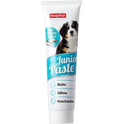 Beaphar Junior Paste Pâte de Montage pour Chien Chiot de friandises pour Chien ou Chiot Forte OS & Dents avec Biotine & Omega 3 & 6 avec B vitamines, Tube de 100 g Beaphar Junior Paste Pâte de Montage pour Chien Chiot de friandises pour Chien ou Chiot Forte OS & Dents avec Biotine & Omega 3 & 6 avec B vitamines, Tube de 100 g