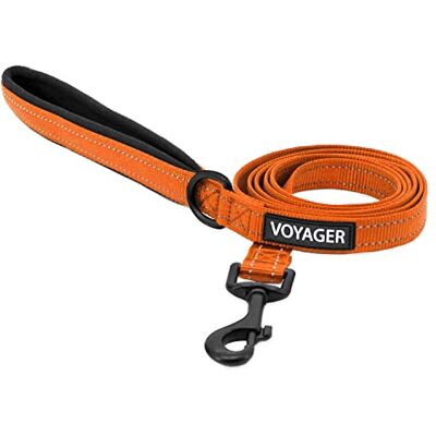 Best Pet Supplies Voyager Laisse réfléchissante pour chien avec poignée en néoprène, 1,5 m de long, convient aux chiots de petite, moyenne et grande race, mignonne et robuste pour la marche, la course et le dressage – Best Pet Supplies Voyager Laisse réfléchissante pour chien avec poignée en néoprène, 1,5 m de long, convient aux chiots de petite, moyenne et grande race, mignonne et robuste pour la marche, la course et le dressage –