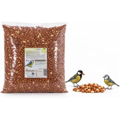 FLAMINGO Cacahuètes décortiquées Nourriture Fraîche de Qualité Supérieure pour Oiseaux Sauvages 3 KG FLAMINGO Cacahuètes décortiquées Nourriture Fraîche de Qualité Supérieure pour Oiseaux Sauvages 3 KG