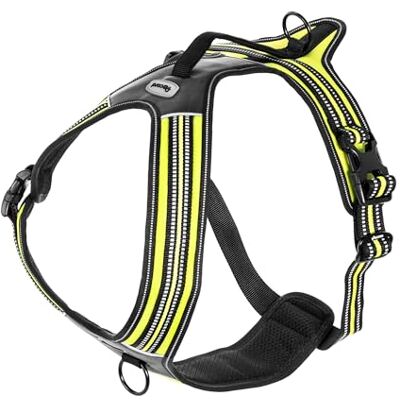 Record Harnais pour chien Action Alpes Jaune Taille XS Matière : Nylon Tressé avec Bandes Réfléchissantes 3M ScotchLite Circonférence 43-49 cm Record Harnais pour chien Action Alpes Jaune Taille XS Matière : Nylon Tressé avec Bandes Réfléchissantes 3M ScotchLite Circonférence 43-49 cm