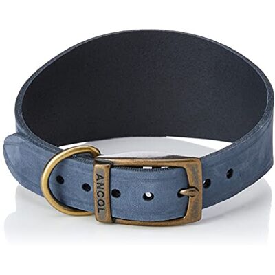 Ancol Timberwolf Collier pour chien en cuir pour lévrier Bleu – Bride en cuir pleine fleur sécurisé – 34–43 cm Ancol Timberwolf Collier pour chien en cuir pour lévrier Bleu – Bride en cuir pleine fleur sécurisé – 34–43 cm