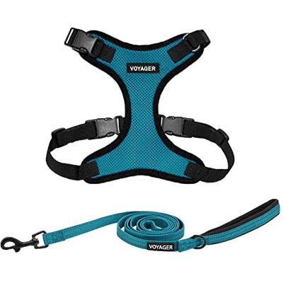 Best Pet Supplies Voyager Step-in Lock Ensemble harnais pour chien avec laisse réfléchissante avec poignée en néoprène 1,5 m – Convient aux chiots/chats de petite, moyenne et grande taille – Bordure Best Pet Supplies Voyager Step-in Lock Ensemble harnais pour chien avec laisse réfléchissante avec poignée en néoprène 1,5 m – Convient aux chiots/chats de petite, moyenne et grande taille – Bordure