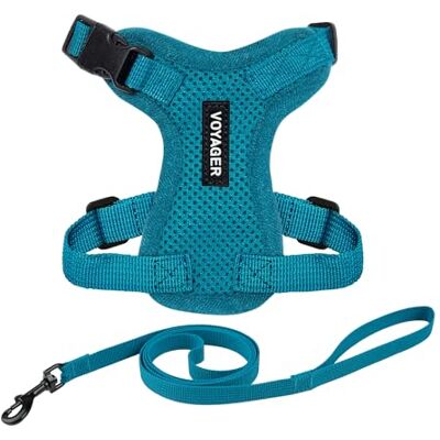Best Pet Supplies Voyager Step-in Lock Harnais pour chat et laisse réfléchissante avec poignée en néoprène – Convient aux chats de petite, moyenne et grande taille, turquoise, taille XS – 1,5 m Best Pet Supplies Voyager Step-in Lock Harnais pour chat et laisse réfléchissante avec poignée en néoprène – Convient aux chats de petite, moyenne et grande taille, turquoise, taille XS – 1,5 m