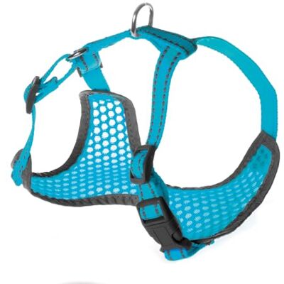 Record Best Friend Laisse respirante avec bords réfléchissants Confort et sécurité pour votre chien cou 42-50, poitrine 47-65 cm Record Best Friend Laisse respirante avec bords réfléchissants Confort et sécurité pour votre chien cou 42-50, poitrine 47-65 cm