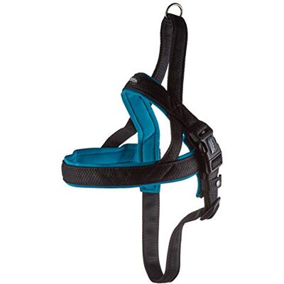 Collier pour Chien Nobby Mesh Preno - Réglable, Turquoise - Accessoire Chien Collier pour Chien Nobby Mesh Preno - Réglable, Turquoise - Accessoire Chien