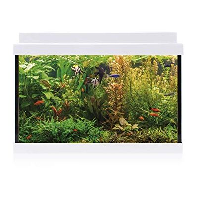 ICA Kit intérieur Aqualed 20 blanc 20 ml ICA Kit intérieur Aqualed 20 blanc 20 ml
