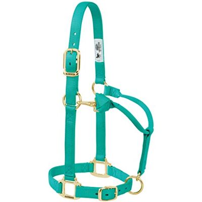 Weaver Leather Harnès en nylon vert pour chevaux - Harnès de cheval Weaver Leather Harnès en nylon vert pour chevaux - Harnès de cheval