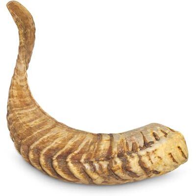 Arquivet Mâchoire pour chien en corne de mouton taille L (>200gr) Arquivet Mâchoire pour chien en corne de mouton taille L (>200gr)