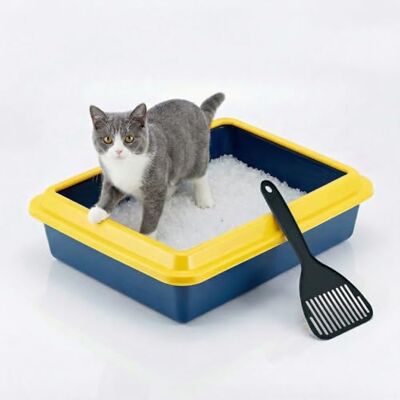 Animal House Bac à Litière pour Chat avec Bord, Bac Hygiénique avec Pelle Incluse, Taille L 43,5 x 34 x 11 cm, Toilette pour Chat en Plastique Résistant, Pratique et Hygiénique Animal House Bac à Litière pour Chat avec Bord, Bac Hygiénique avec Pelle Incluse, Taille L 43,5 x 34 x 11 cm, Toilette pour Chat en Plastique Résistant, Pratique et Hygiénique