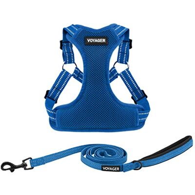 Best Pet Supplies Voyager Adjustable Dog Harness Leash Set with Reflective Stripes for Walking Heavy-Duty Full Body No Pull Vest with Leash D-Ring, Breathable All-Weather Royal Blue, M Best Pet Supplies Voyager Adjustable Dog Harness Leash Set with Reflective Stripes for Walking Heavy-Duty Full Body No Pull Vest with Leash D-Ring, Breathable All-Weather Royal Blue, M