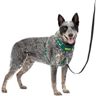 PetSafe Easy Walk Harnais confortable anti-traction pour chien – Harnais de dressage pour meilleure marche – Design rembourré – Tissu durable – Ajustement réglable à 5 points – Entraînement quotidien PetSafe Easy Walk Harnais confortable anti-traction pour chien – Harnais de dressage pour meilleure marche – Design rembourré – Tissu durable – Ajustement réglable à 5 points – Entraînement quotidien