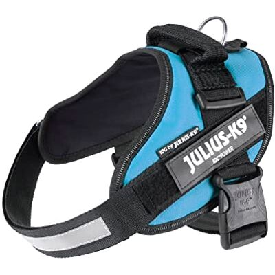 Julius-K9 Harnais IDC Power, Taille: 0, Bleu Aquamarine Julius-K9 Harnais IDC Power, Taille: 0, Bleu Aquamarine