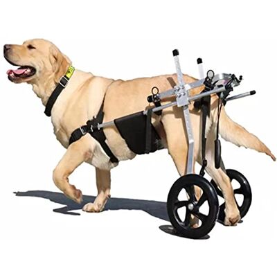 MAXWXB Fauteuil roulant pour chien pour la rééducation des pattes postérieures, chien handicapé animal de compagnie/chien Doggy Cat Back Legs Assisted Walk Car Léger 2 roues réglable pour 15 à 60 kg Pet (AL MAXWXB Fauteuil roulant pour chien pour la rééducation des pattes postérieures, chien handicapé animal de compagnie/chien Doggy Cat Back Legs Assisted Walk Car Léger 2 roues réglable pour 15 à 60 kg Pet (AL