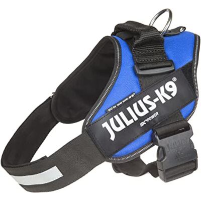 Julius-K9 IDC PowerHarness Harnais Bleu Taille L/1 Julius-K9 IDC PowerHarness Harnais Bleu Taille L/1