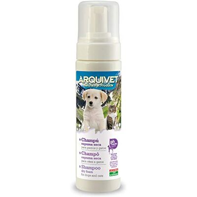 Arquivet 8435117825420 – L'Oréal Shampoing Mousse Sèche 200 ML Arquivet 8435117825420 – L'Oréal Shampoing Mousse Sèche 200 ML