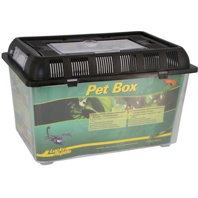 Lucky Reptile Pet Box Boîte pour animaux de compagnie Taille moyenne env. 32,5 x 22 x 21 cm Lucky Reptile Pet Box Boîte pour animaux de compagnie Taille moyenne env. 32,5 x 22 x 21 cm