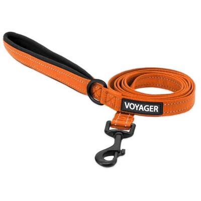 Best Pet Supplies Voyager Laisse réfléchissante pour chien avec poignée en néoprène, 1,8 m de long, convient aux chiots de petite, moyenne et grande race, mignonne et robuste pour la marche, la course et le dressage – Best Pet Supplies Voyager Laisse réfléchissante pour chien avec poignée en néoprène, 1,8 m de long, convient aux chiots de petite, moyenne et grande race, mignonne et robuste pour la marche, la course et le dressage –