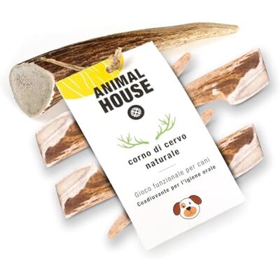 Animal House 5 pièces de Bois de Cerf Entier pour Chien, à mâcher 100% Naturel, renforce l'hygiène bucco-Dentaire, résistant et Durable, Disponible dans Toutes Les Tailles (5, XS) Animal House 5 pièces de Bois de Cerf Entier pour Chien, à mâcher 100% Naturel, renforce l'hygiène bucco-Dentaire, résistant et Durable, Disponible dans Toutes Les Tailles (5, XS)